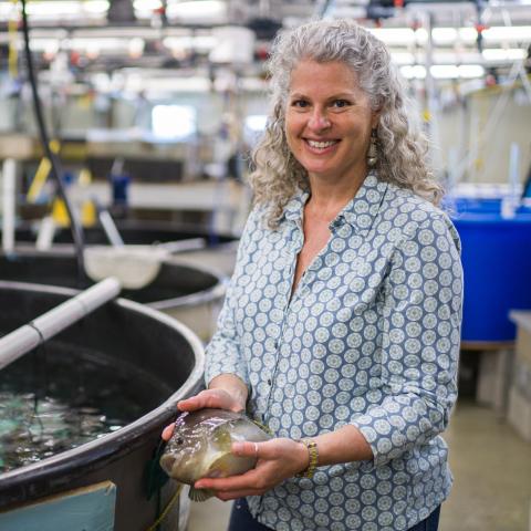Elizabeth Fairchild holding a lumpfish next to an indoor aquaculture tank at the University of New Hampshire's Coastal Marine Lab