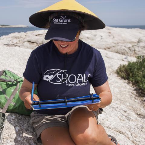 Elizabeth Craig sits on a rock at Seavey Island, wearing a large hat to protect her from seabirds, and writing down data on a clipboard. 