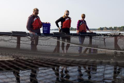 Michael Chambers (left) gives a tour of the AquaFort to visiting students. The three stand on the floating structure, with netting in the foreground. 