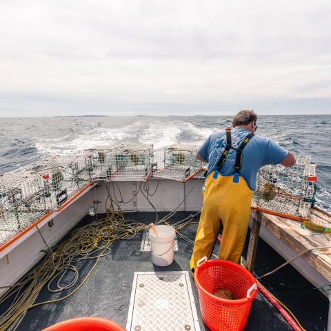 A lobster fisherman works on the stern of a lobster fishing boat, setting up the traps.