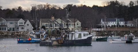 Boats moored in Rye Harbor during sunset.