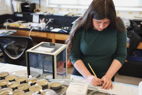 A Doyle Fellow writes down data while working at a lab table in JEL. 