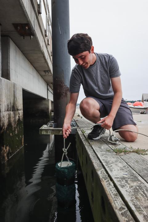 Doyle Fellow Jacob kneels down at a dock to deploy his blue crab sampling gear. 