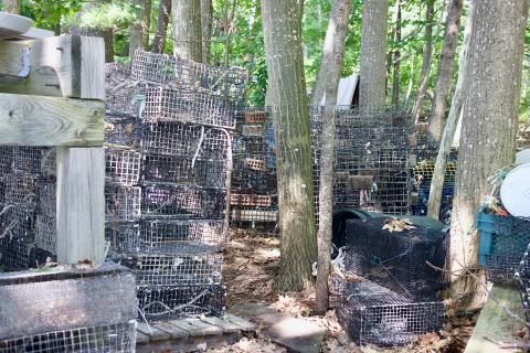 The ‘boneyard’- a pile of in-use traps, nets, and other devices. 