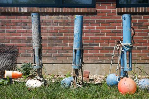 Sonds soaking up the sun as they await deployment.