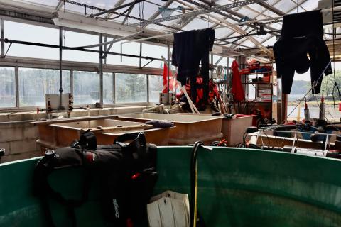 An open-air room in JEL, with tanks and wetsuits hanging to dry. 