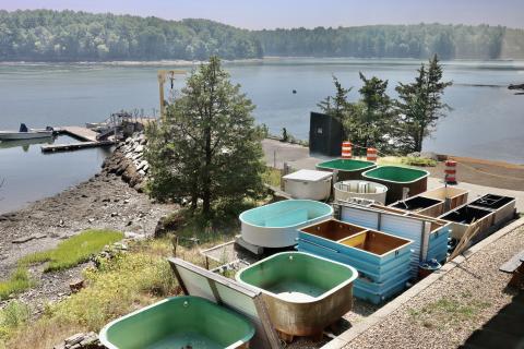 Tanks in storage near the bay.