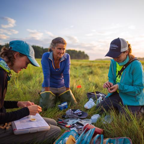 Adrienne Kovach working with students in a marsh. 