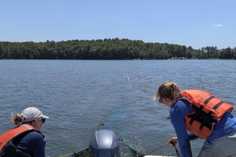 Doyle Fellow Maggie works on a boat in Great Bay conducting a trawl survey. 