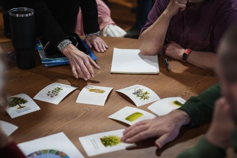 Participants work together at a table to identify different plant species.