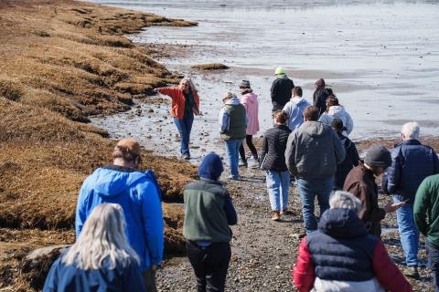 The group walks along the Great Bay shoreline, assessing the natural landscape.