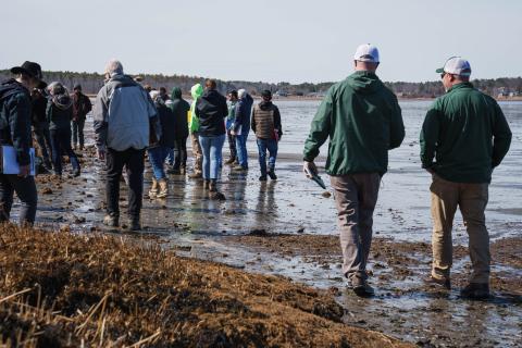 Participants walk along Great Bay.