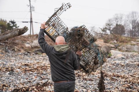 A fisherman carries a large lobster trap over his head, towards the collection site.
