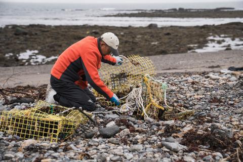 A fisherman kneels down on the rocky shore, attempting to dig out a buried lobster trap.
