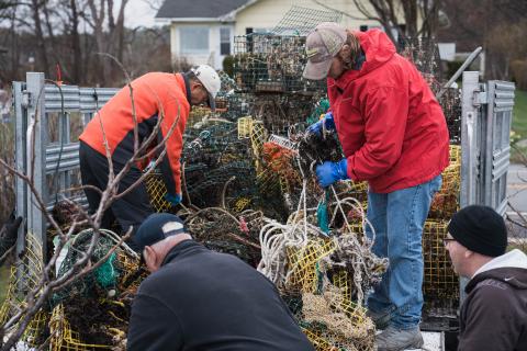 A group of fishermen stack lobster traps into the bed of a large truck. 