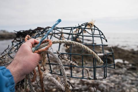A hand holds up pieces of trap and rope in front of the camera, with the ocean in the background.