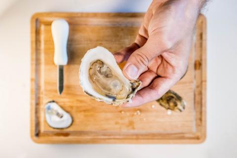 An oyster being held out over a cutting board in a kitchen.