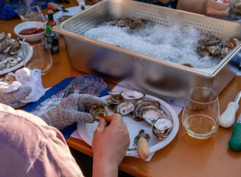 A close up photos of two hands shucking an oyster, with an ice bucket in the background.