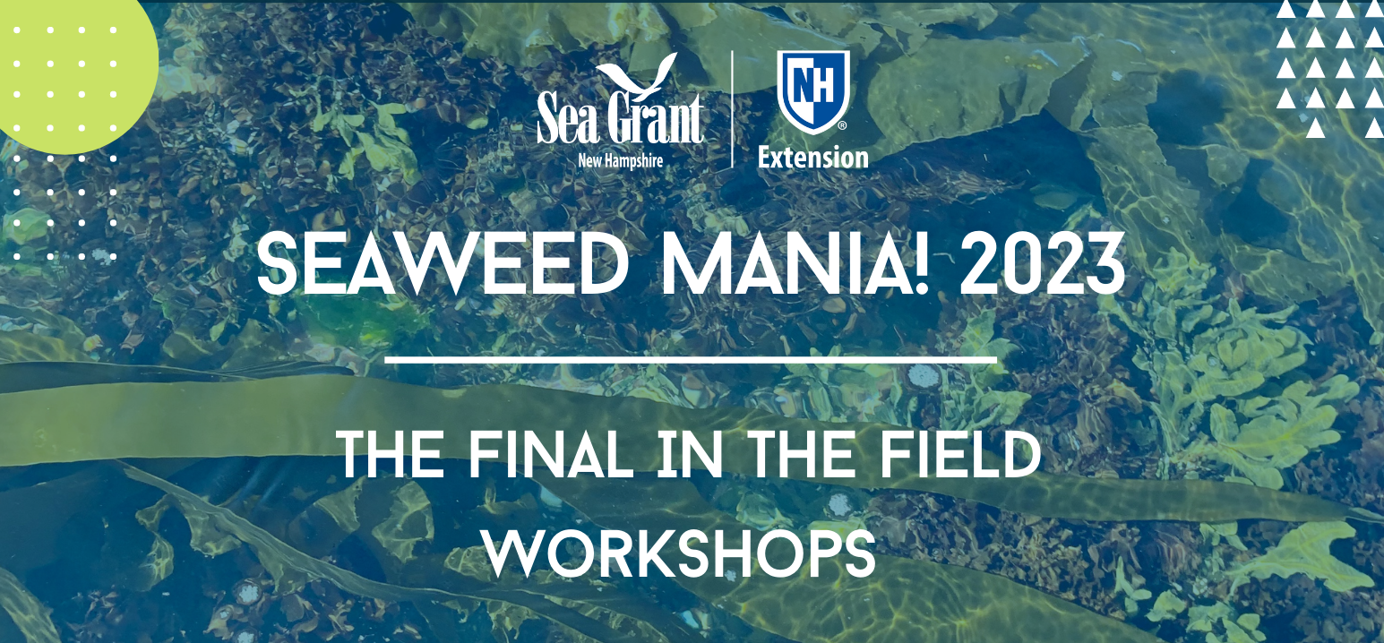 Seaweed Mania! In the Field Workshop